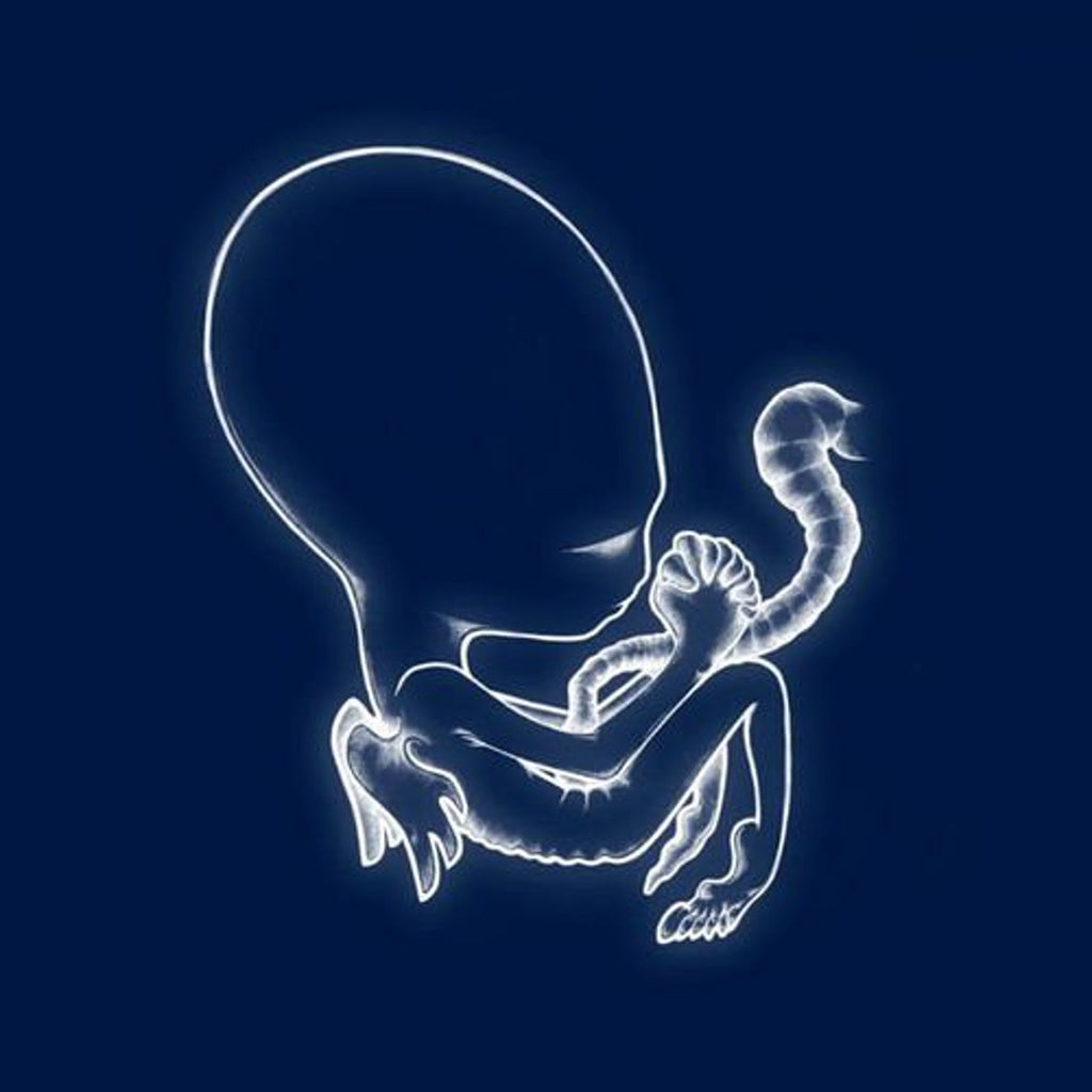 Sigur Rós - Ágætis byrjun LP