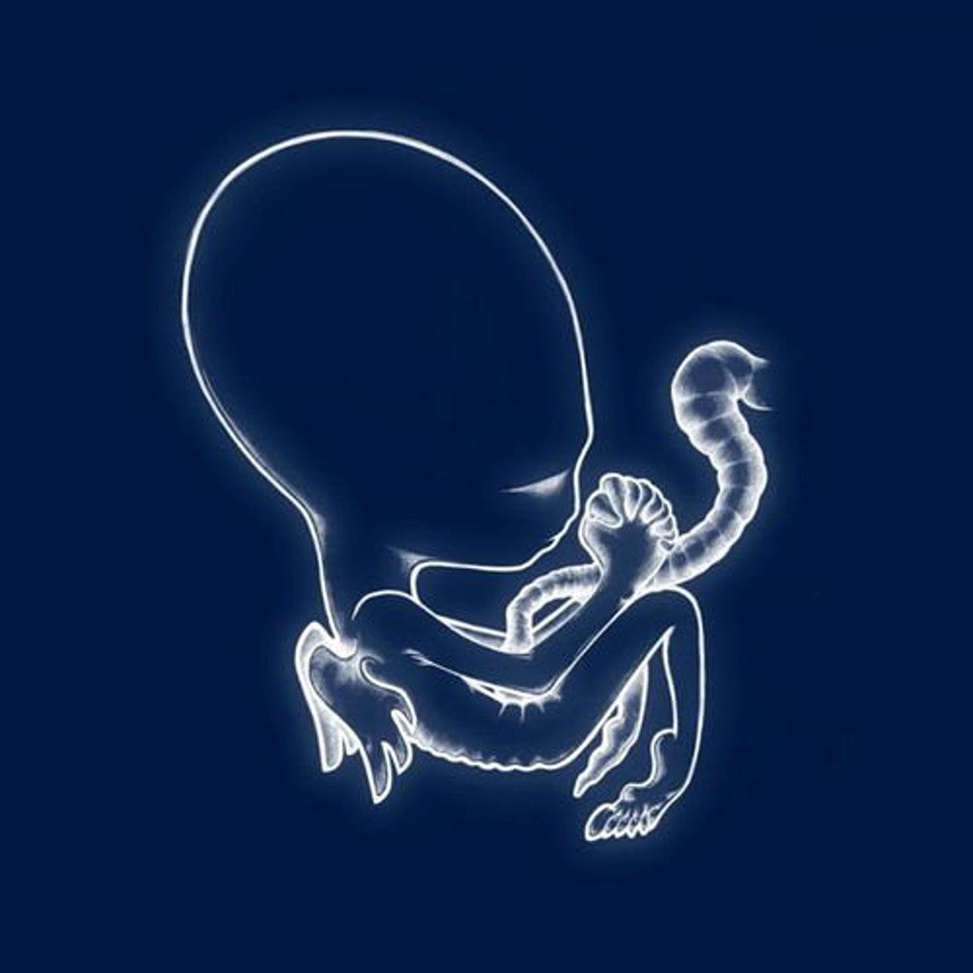 Sigur Rós - Ágætis byrjun LP